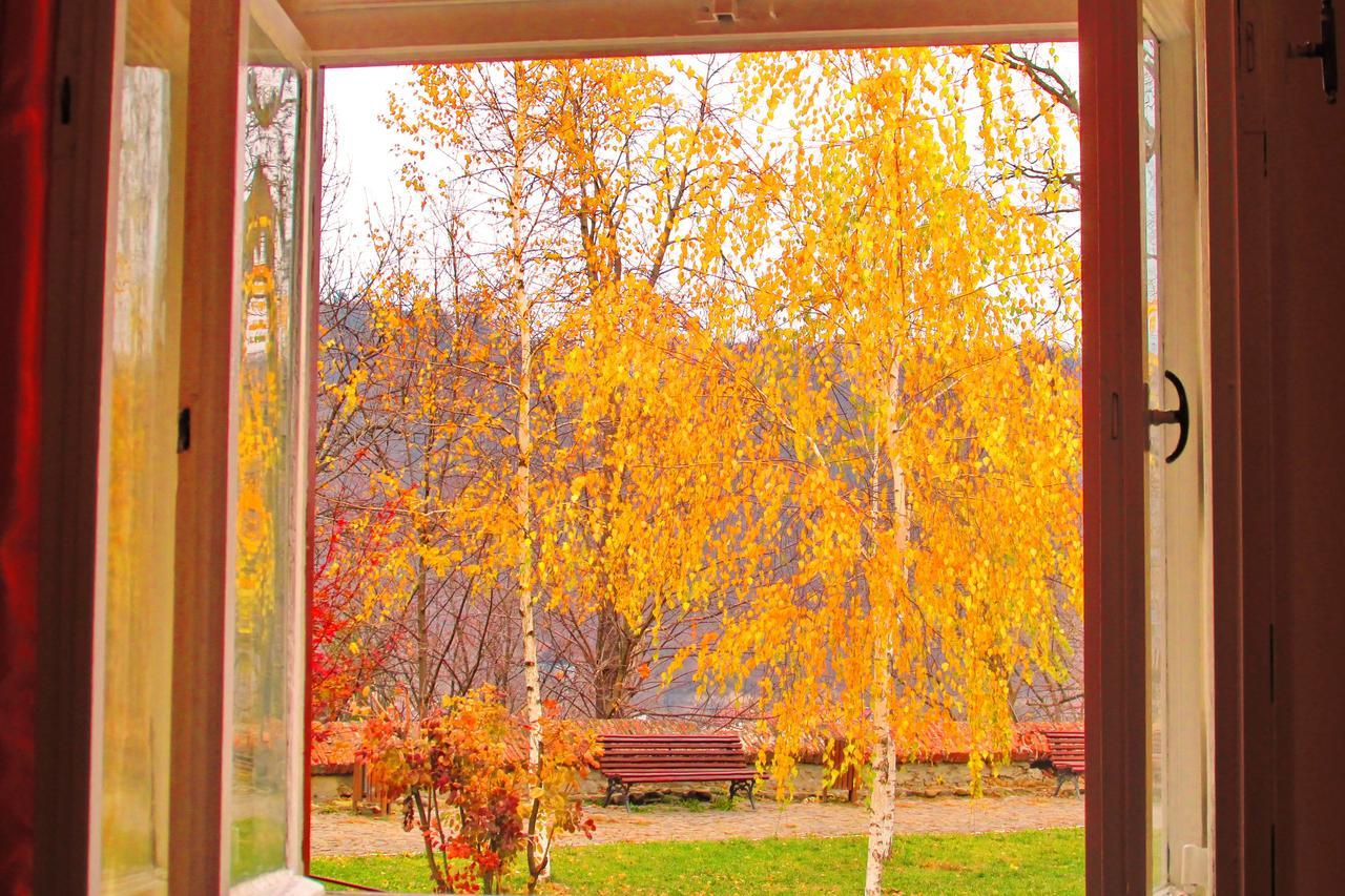 Citadel Park 公寓 Sighişoara
